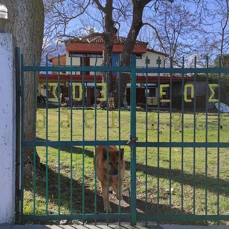 Summit Zero Hostel Plaka Litochorou Zewnętrze zdjęcie