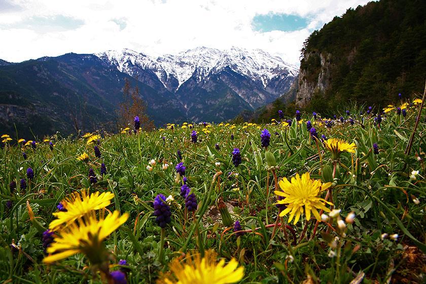 Summit Zero Hostel Plaka Litochorou Zewnętrze zdjęcie